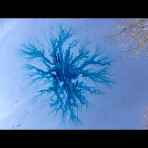 Meet your Posher, Ava